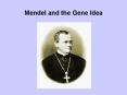 Mendel and the Gene Idea PowerPoint PPT Presentation