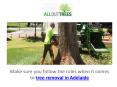 Tree Removal Adelaide PowerPoint PPT Presentation
