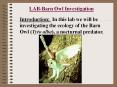 LAB-Barn Owl Investigation PowerPoint PPT Presentation