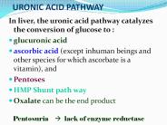 URONIC ACID PATHWAY