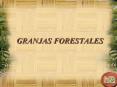 GRANJAS FORESTALES PowerPoint PPT Presentation