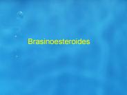 Diapositiva 1