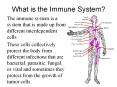 What is the Immune System? PowerPoint PPT Presentation