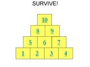 SURVIVE!