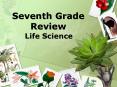 Seventh Grade Review PowerPoint PPT Presentation