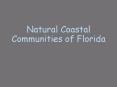 Natural Coastal Communities of Florida PowerPoint PPT Presentation