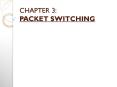 CHAPTER 3: PACKET SWITCHING PowerPoint PPT Presentation