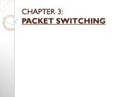 CHAPTER 3: PACKET SWITCHING