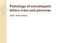 Pathology of extrahepatic biliary tract and pancreas PowerPoint PPT Presentation