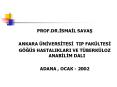 PROF.DR.ISMAIL SAVAS PowerPoint PPT Presentation