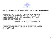 ELECTRONIC CUSTOMS THE ONLY WAY FORWARD