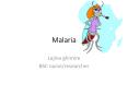 malaria for 12 cbse PowerPoint PPT Presentation