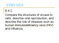 VIRUSES PowerPoint PPT Presentation