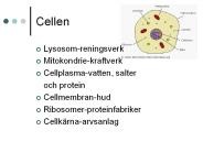 Cellen