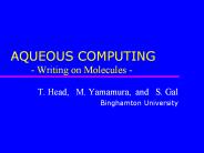 AQUEOUS COMPUTING - Writing on Molecules -