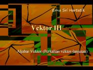 Vektor III