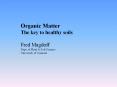 Organic Matter PowerPoint PPT Presentation
