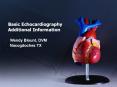 Basic Echocardiography Additional Information PowerPoint PPT Presentation