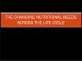 THE CHANGING NUTRITIONAL NEEDS ACROSS THE LIFE CYCLE PowerPoint PPT Presentation