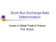 Short-Run Exchange Rate Determination PowerPoint PPT Presentation