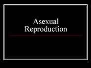 Asexual%20Reproduction