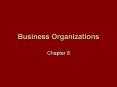 Business Organizations PowerPoint PPT Presentation