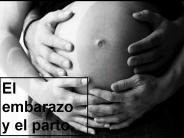 Diapositiva 1