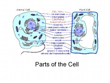 Parts of the Cell