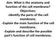 Aim:%20What%20is%20the%20anatomy%20and%20function%20of%20the%20cell%20membrane?%20Objectives:%20-Identify%20the%20parts%20of%20the%20cell%20membrane.%20-Explain%20the%20main%20function%20of%20the%20cell%20membrane.%20-Explain%20and%20describe%20the%20possible%20part PowerPoint PPT Presentation
