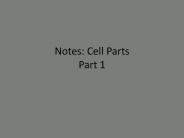 Notes: Cell Parts Part 1