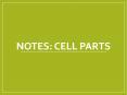 NOTES: CELL PARTS PowerPoint PPT Presentation