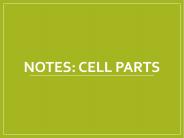 NOTES: CELL PARTS