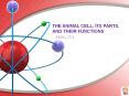 THE ANIMAL CELL, ITS PARTS, AND THEIR FUNCTIONS PowerPoint PPT Presentation