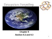 Ecosystem Recycling