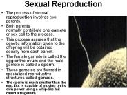 Sexual Reproduction