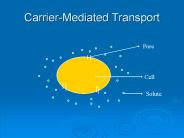 Carrier-Mediated Transport