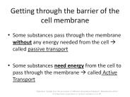 Getting through the barrier of the cell membrane