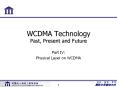 WCDMA Technology Past, Present and Future PowerPoint PPT Presentation