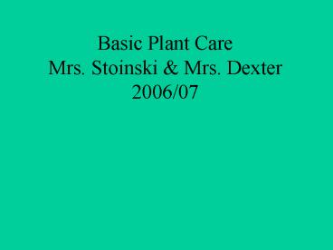 Basic Plant Care Mrs. Stoinski