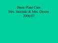 Basic Plant Care Mrs. Stoinski PowerPoint PPT Presentation