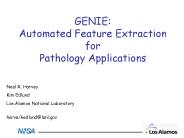 GENIE: Automated Feature Extraction for Pathology Applications
