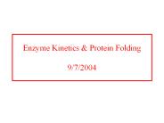 Enzyme Kinetics