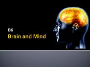 Brain%20and%20Mind