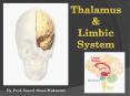 Thalamus and Limbic System PowerPoint PPT Presentation
