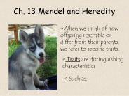 Ch. 13 Mendel and Heredity