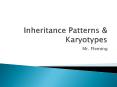 Inheritance Patterns PowerPoint PPT Presentation