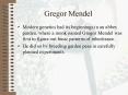 Gregor Mendel PowerPoint PPT Presentation