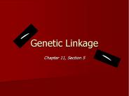Genetic Linkage