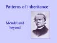 Patterns of inheritance: PowerPoint PPT Presentation