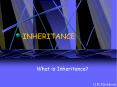 INHERITANCE PowerPoint PPT Presentation